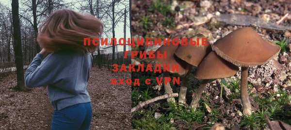 mdpv Арсеньев