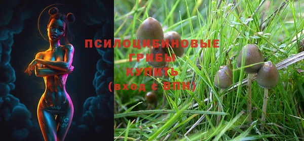 MDMA Армянск